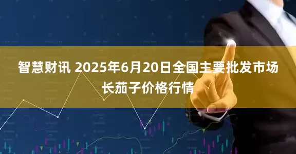 智慧财讯 2025年6月20日全国主要批发市场长茄子价格行情