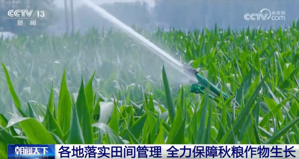 恒牛网 智“绘”田管图 科技为全力保障秋粮作物生长装上“数字大脑”