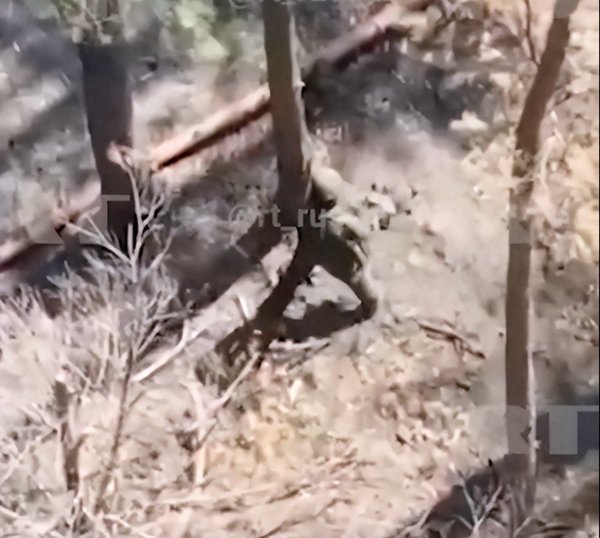 文商期货配资 画面曝光！俄士兵徒手抓住乌军无人机并当场拍毁