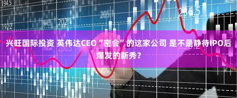 兴旺国际投资 英伟达CEO“密会”的这家公司 是不是静待IPO后爆发的新秀？