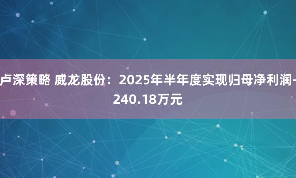 卢深策略 威龙股份：2025年半年度实现归母净利润-240.18万元