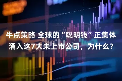 牛点策略 全球的“聪明钱”正集体涌入这7大未上市公司，为什么？